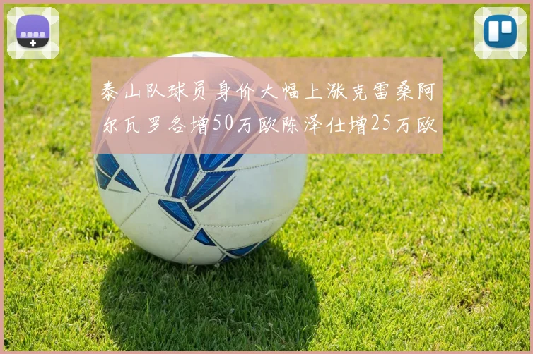 泰山队球员身价大幅上涨克雷桑阿尔瓦罗各增50万欧陈泽仕增25万欧