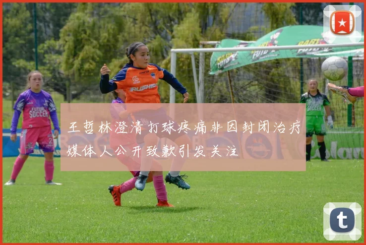 王哲林澄清打球疼痛非因封闭治疗媒体人公开致歉引发关注